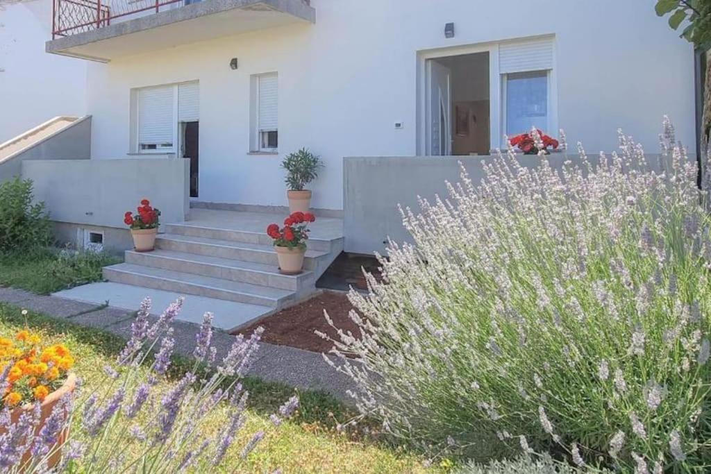 Ferienwohnung App Racy Umag Exterior foto